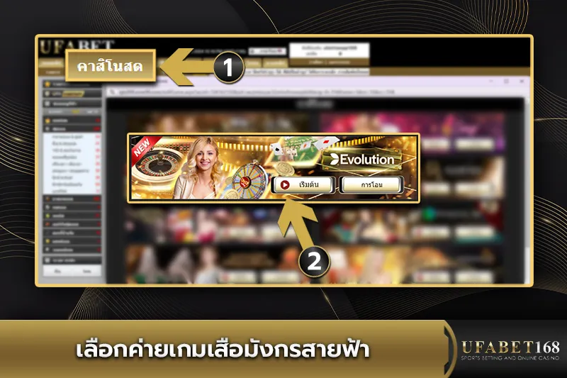 เลือกค่ายเกมเสือมังกรสายฟ้า